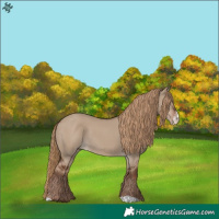 Horse Color:Liver Red Dun Sabino Rabicano