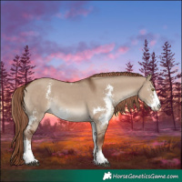 Horse Color:Liver Red Dun Sabino Rabicano 