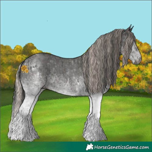 Horse Color:Gray White Spotted Black  and Gray White Spotted Silver Black 