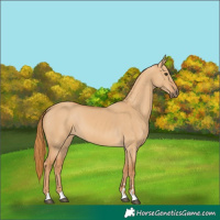 Horse Color:Red Dun 