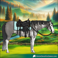 Horse Color:Grullo Sabino Splash