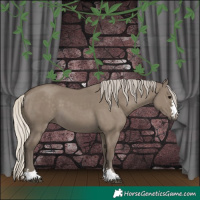 Horse Color:Silver Smoky Grullo