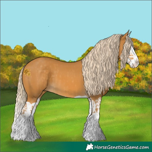 Horse Color:Palomino Splash  and Palomino Splash 