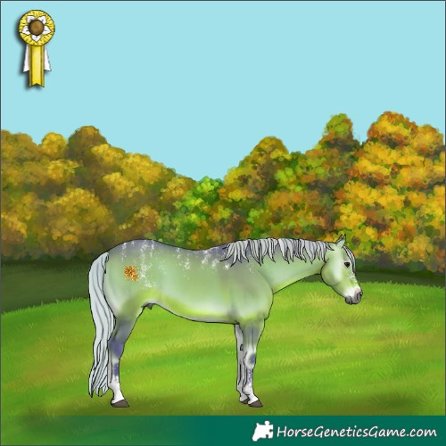 Horse Color:Powder White Gray Watercolor Silver Bay Onyx 