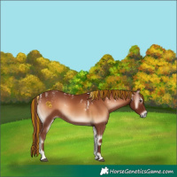 Horse Color:Powder White Painted Red Onyx