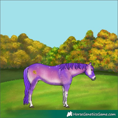 Horse Color:Powder White Gray Watercolor Red Onyx 