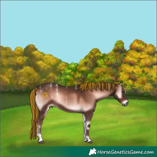 Horse Color:Powder White Gray Painted Red Onyx 