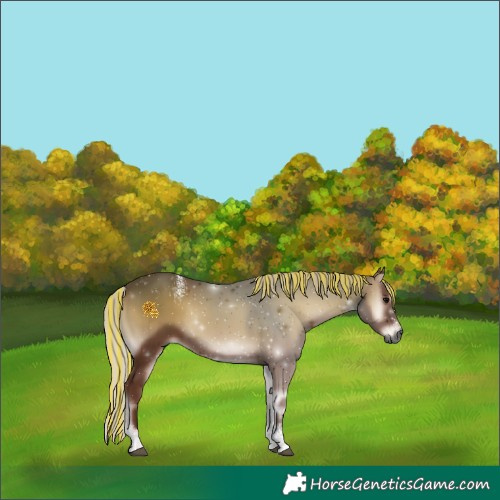 Horse Color:Powder White Gray Painted Silver Blue Onyx 