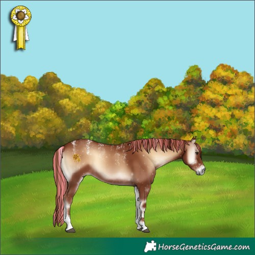 Horse Color:Powder White Painted Red Onyx 