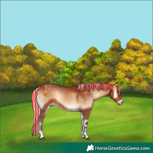 Horse Color:Powder White Painted Silver Bay Onyx 