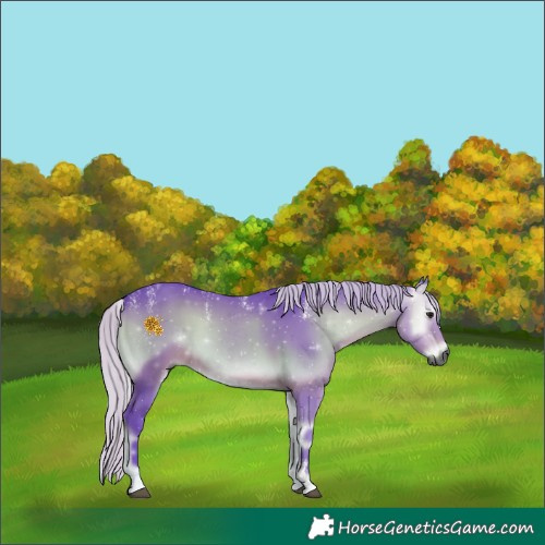 Horse Color:Powder White Gray Watercolor Silver Bay Onyx 