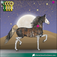 Horse Color:White Spotted Chocolate Palomino Splash  and Black Splash 