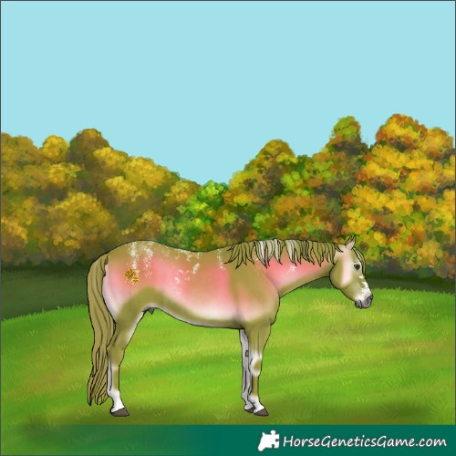 Horse Color:Powder White Gray Watercolor Red Onyx 