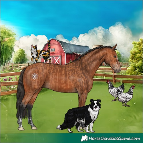 Horse Color:Bay  and Bay 