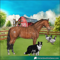 Horse Color:Bay  and Bay 