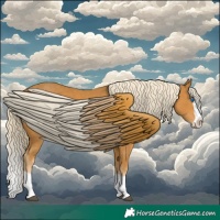 Horse Color:Palomino Splash  and Palomino Splash 