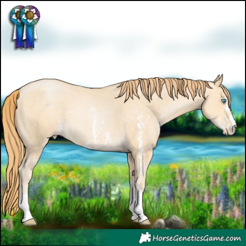Horse Color:Buckskin Pearl Sabino Rabicano