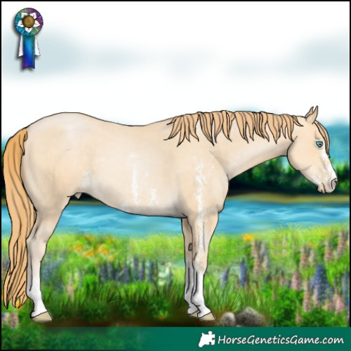 Horse Color:Buckskin Pearl Sabino Rabicano