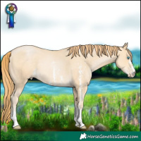 Horse Color:Buckskin Pearl Sabino Rabicano