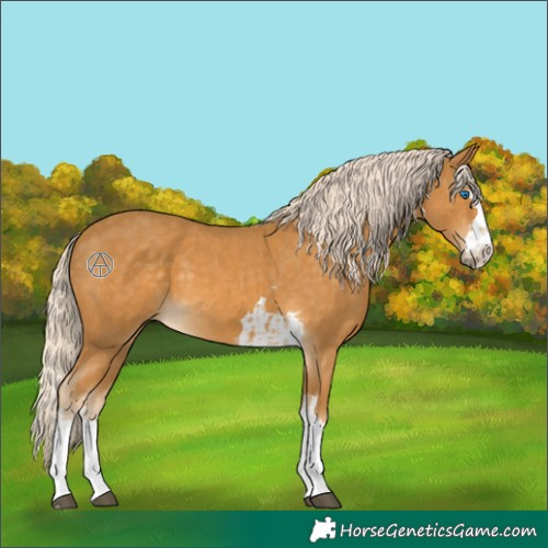 Horse Color:Palomino Splash and Palomino