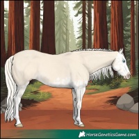 Horse Color:Cremello Splash  and Cremello Splash 
