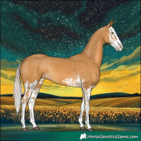 Horse Color:Palomino Splash  and Palomino Splash 