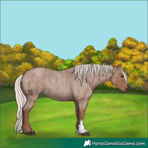Horse Color:Silver Blue Roan Sabino 