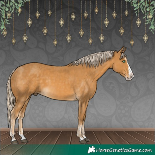 Horse Color:Palomino Splash  and Palomino Splash 