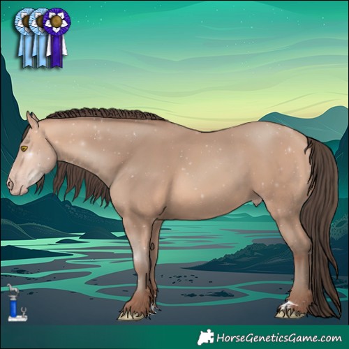 Horse Color:Amber Champagne 