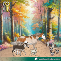 Horse Color:Cremello Dun Splash  and Palomino Splash 