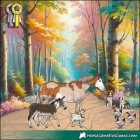 Horse Color:Cremello Dun Splash  and Palomino Splash 