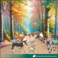 Horse Color:Cremello Dun Splash and Palomino Splash