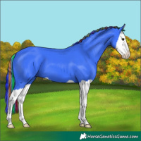 Horse Color:Painted Watercolor Black Splash 