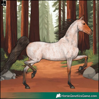 Horse Color:Bay Roan