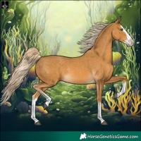 Horse Color:Palomino Splash and Palomino Splash Rabicano