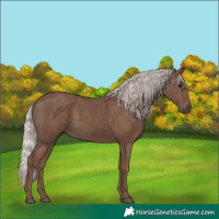 Horse Color:Silver Black 