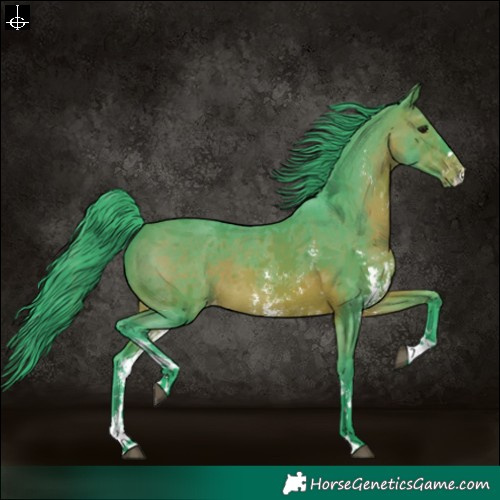Horse Color:Watercolor Brown Sabino Varnish 