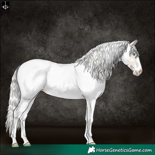 Horse Color:White Spotted Cremello Dun Appaloosa 