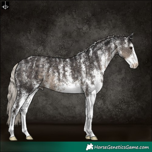 Horse Color:Powder White White Spotted Silver Smoky Black 