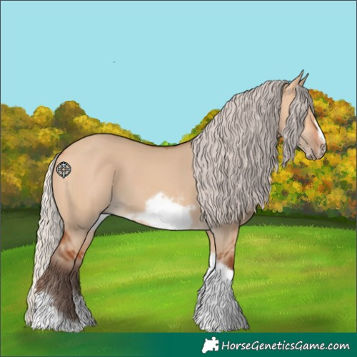 Horse Color:Silver Bay Dun Sabino Tobiano Frame Rabicano 