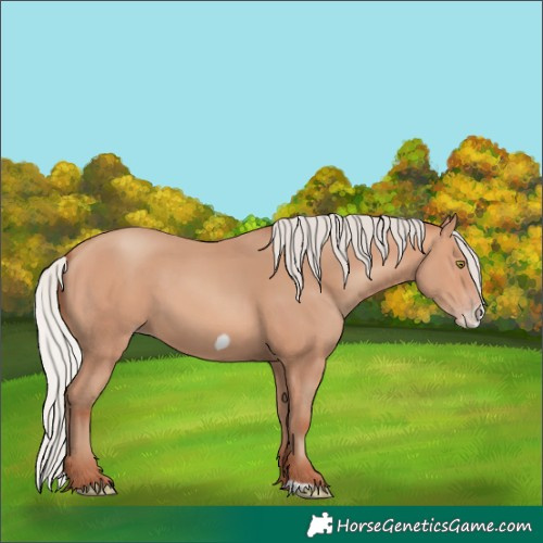 Horse Color:Silver Amber Champagne Frame 