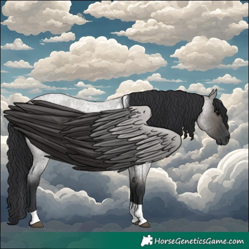 Horse Color:Grullo Roan Tobiano 