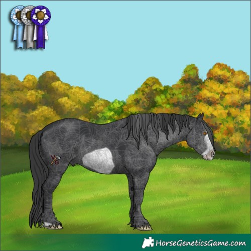 Horse Color:Black Frame 