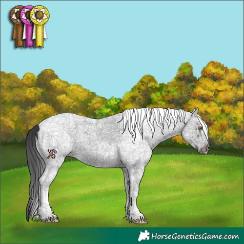 Horse Color:White Spotted Black Frame 