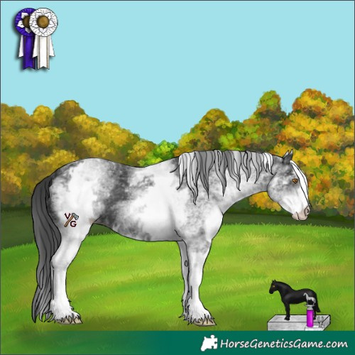 Horse Color:White Spotted Black 