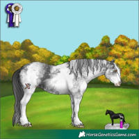 Horse Color:White Spotted Black 