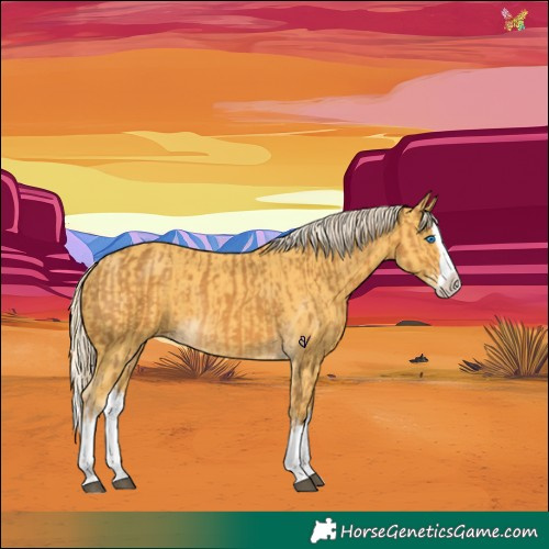 Horse Color:Palomino Splash  and Palomino Splash 