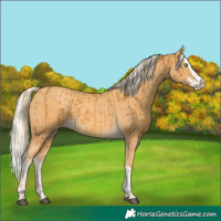 Horse Color:Palomino Splash  and Gold Cream Champagne Splash 