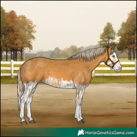Horse Color:Palomino Splash  and Palomino Splash 