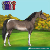 Horse Color:Brown Dun Mushroom Tobiano Rabicano